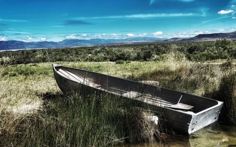 A boat pulled into the grass with mountains in the background